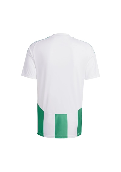 Adidas Striped 24 Jsy Erkek Futbol Forması Yeşil Iw2148