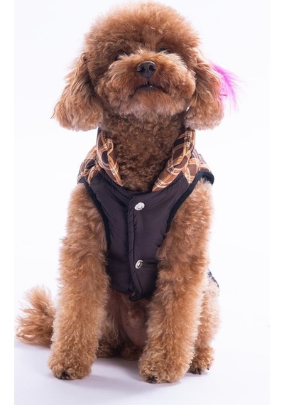 Kahverengi Elgin Paws Ekose Desen Yelek Köpek Yeleği Köpek Kıyafeti Köpek Yağmurluk