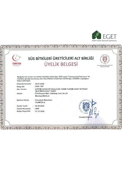 Saksıda Organik Lavanta - 2 Saksı