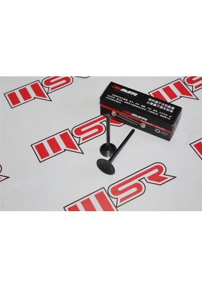 Sübap Tk Cf 250 Nk - Sr 250 1 Emme - 1 Egzos