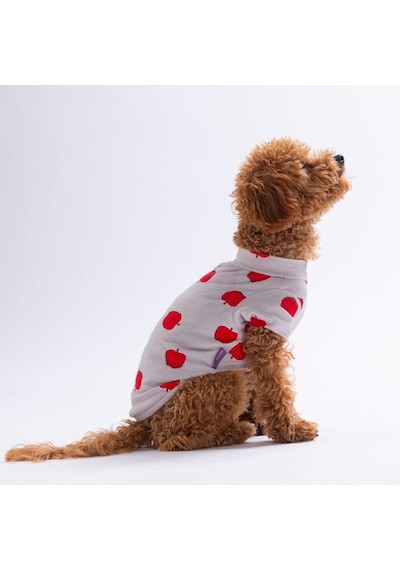 Apple Pop Elma Desenli Kedi Köpek Sweati - Kedi Köpek Kıyafeti-kedi Köpek Sweati
