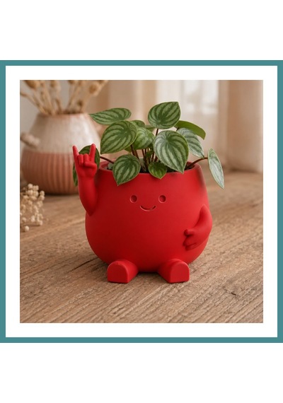 Trendexa 3d Baskı Smiley Face Planter - Gülümseyen Karakterli Saksı-kırmızı Mac Standart