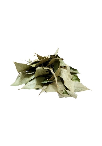 Lokman Defne Yaprağı 80 G