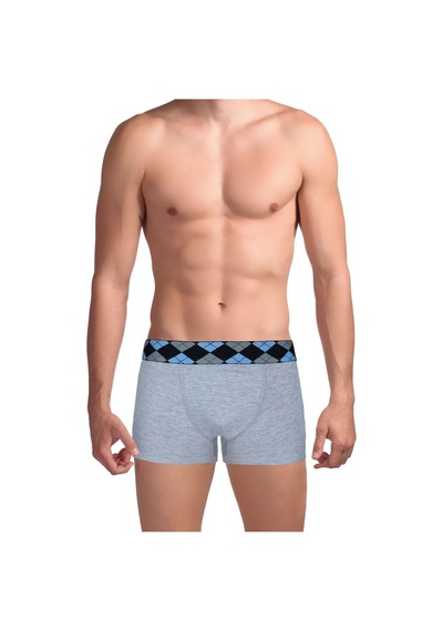 The Don Innovative Süprem Erkek Trunk Boxer A.Gri 001
