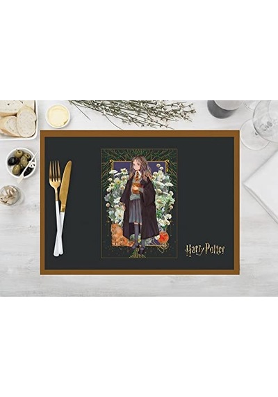 Harry Potter Characters Kumaş Amerikan Servis 4'lü Set 35x50cm Çok Renkli