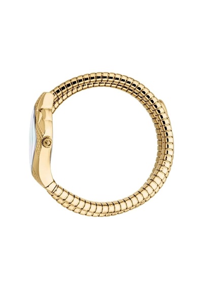 Just Cavalli Jc1l307m0025 Gold