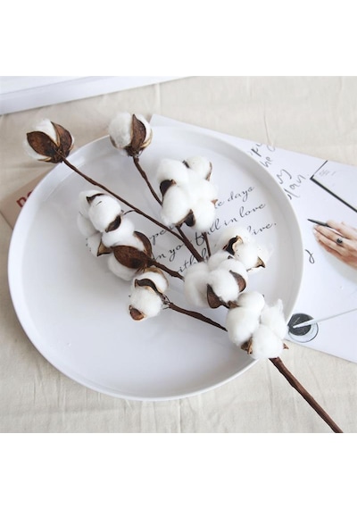 3lü Set Doğal Pamuk Çiçeği 9lu Kuru Çiçek 60cm Yapay Çiçek