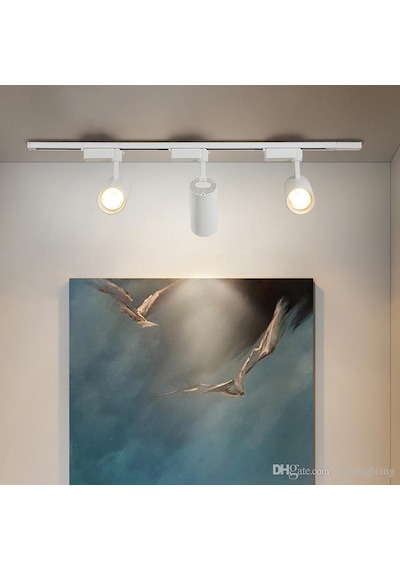 6 Adet Dekoratif Led Ray Spot + 2 Metre Ray Beyaz Kasa Beyaz Işık