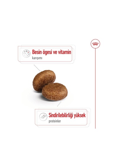 Royal Canin Shn Maxi Mature +5 Yaşlı Köpek Maması 15 KG