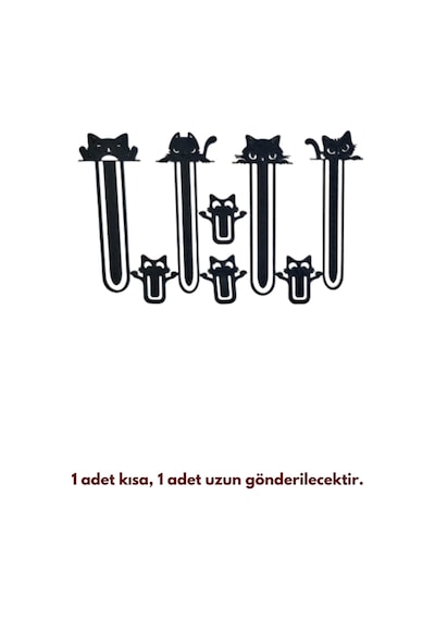 Başarıya Götüren Aile + Geliştiren Anne Baba + 2 Adet Aba Kitap Kedi Kitap Ayracı