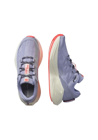 Salomon Salomon Aero Glide 3 Kadın Yol Koşusu Ayakkabısı 5886 Çok Renkli