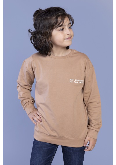 Toontoy Kids Toontoy Erkek Çocuk Baskılı Sweatshirt Kahverengi