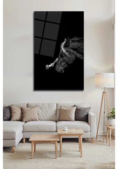 Siyah Beyaz At Ve İnsan Temalı Minimalist Cam Tablo Duygusal Modern Duvar Dekoru Portre Temalı Dekoratif Duvar Tablosu, Salon Ve Yatak Odası Dekoru,