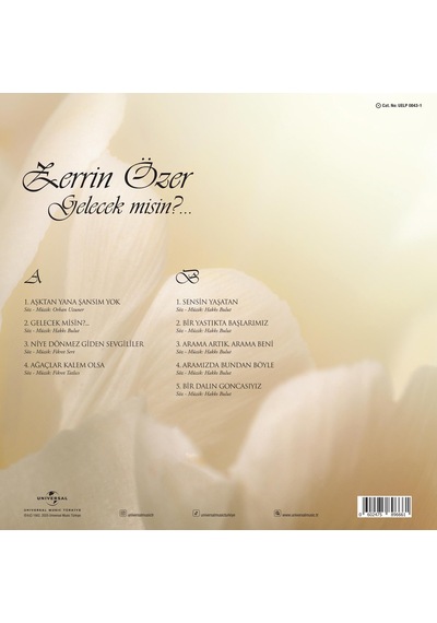 Zerrin Özer - Gelecek Misin Plak
