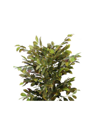 Yapay Kraton Ağacı 130 Cm Yeşil