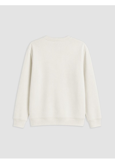 Lcw Vision Gri Bisiklet Yaka Baskılı Erkek Kalın Sweatshirt