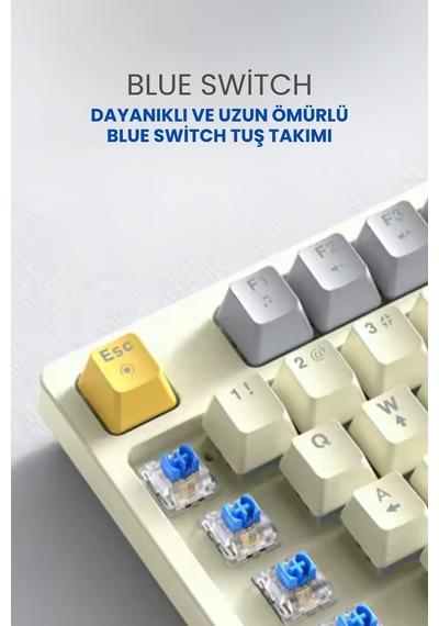 Mekanik Hisli Gaming Blue Switch Türkçe Q 9 Farklı Rgb Işıklı Beyaz Oyuncu Klavyesi