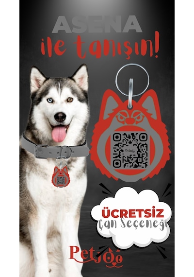 Petjoo 25.Asena Kırmızı-Gri Qr'lı Köpek Künyesi