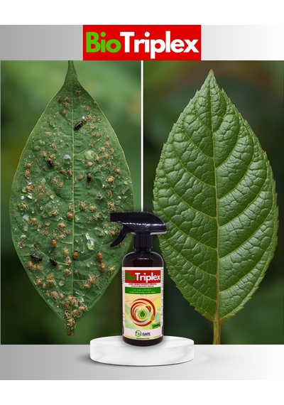 BioTriplex 500 ml – Ev ve Süs Bitkilerinde Görülen Kırmızı Örümcek, Trips ve Akarlara Yönelik Doğal Bakım Ürünü