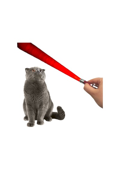 Ankaverse 3'ü 1 Arada Led Lazer Kedi Köpek Oyuncağı Anahtarlık