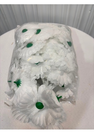 Kırmızı Gerbera Çiçekleri 75 Adet