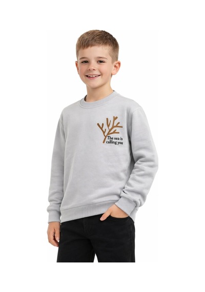 Baglan Erkek Çocuk Önü Baskılı Sweatshirt Bgl-st05238 Gri