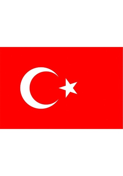 Bayrak Türk 70X105 Erol Alpaka