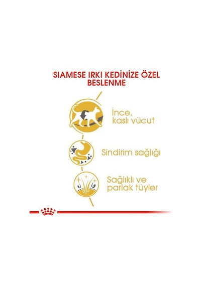 Royal Canin Siamese 38 Yetişkin Kedi Maması 2 KG