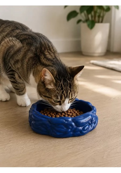 Hubrendy Sh Eko Form Model Beton Kedi Köpek Mama Ve Su Kabı 16cm 16cm 5.5cm - Lacivert