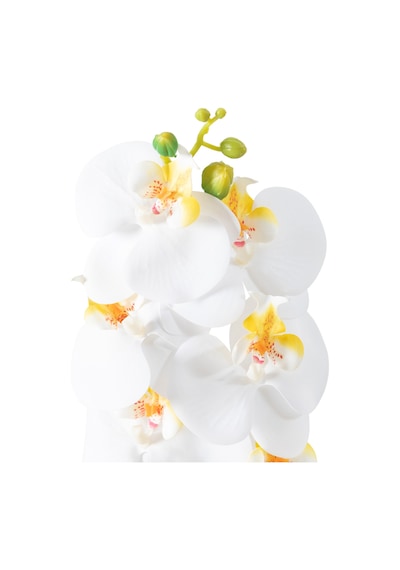 Mudo Home Orkide Dal Çiçek Beyaz 92 Cm