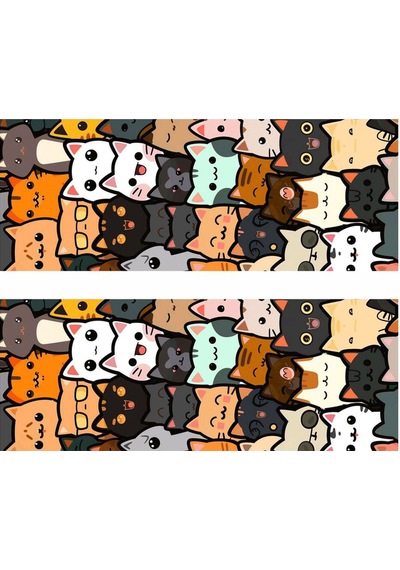 Çılgın Kediler Baskılı Araç Kapı Direk Kaplama Folyo Sticker 2'li Sağ&sol