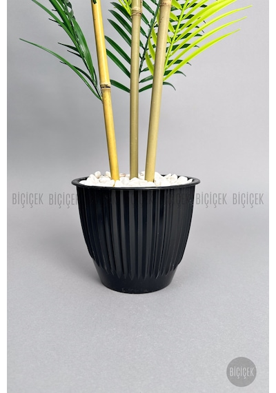 Biçiçek 100 Cm Areka Ağaci 3 Gövdeli̇