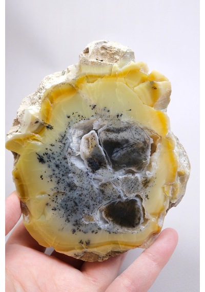 Bal-sarı Ve Buz-mavi Dendritik Opal Levha - Kuvars Jeot Boşlukları Ve Siyah Dendrit Tüyler, 377g
