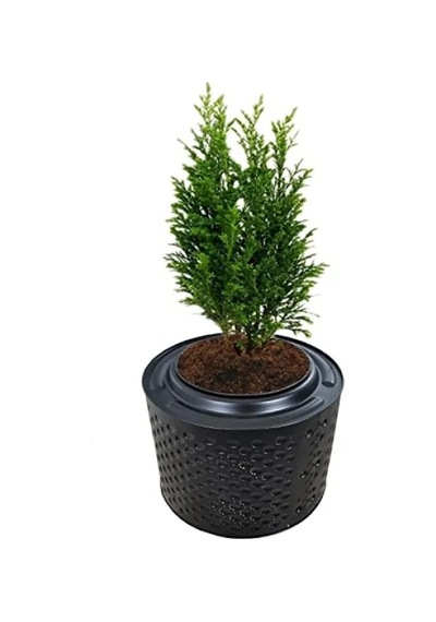 Fırınlanmış Metal Büyük Saksı - 33-38 Cm Yükseklik, 45-55 Cm Çap