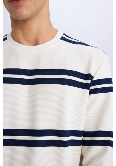 DeFacto Regular Fit Bisiklet Yaka Dokulu Sweatshirt D7595AX25SPWT32