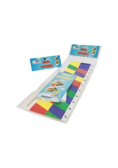 Hayal Dna Sarmalı Modeli