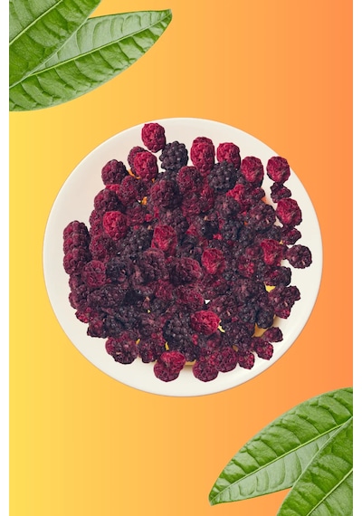 Freezya Freeze Dried Dondurularak Kurutulmuş Böğürtlen 15 G