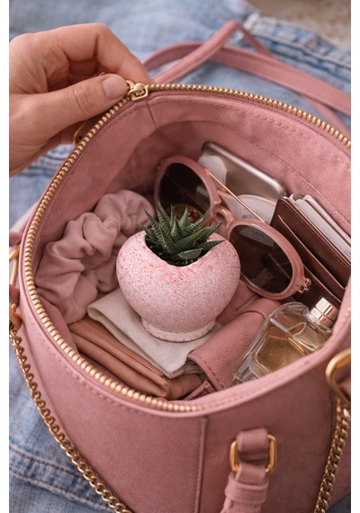 Pembe Kalp Saksıda Sukulent Romantik Canlı Hediye 2 Adet