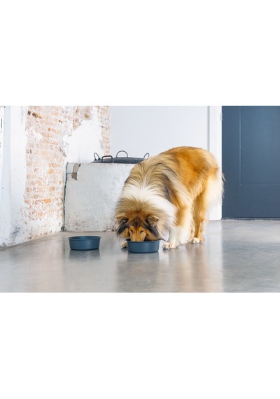 Beeztees Dbl Köpek Mama Su Kabı, Mat Siyah Paslanmaz Çelik, 20cm, 1,9l