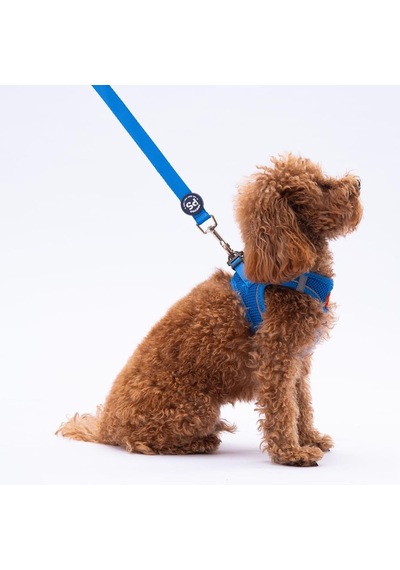Pawstar Mavi Leash Kedi Köpek Sevk & Gezdirme Kayışı Köpek Uzatma Tasması Mavi