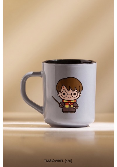 Harry Potter 2'li Kupa Seti 250 Cc Çok Renkli