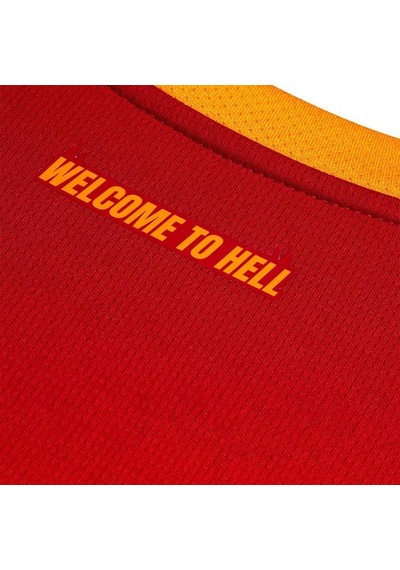 Puma Galatasaray 26/27 Çocuk İç Saha Parçalı Forma Çok Renkli
