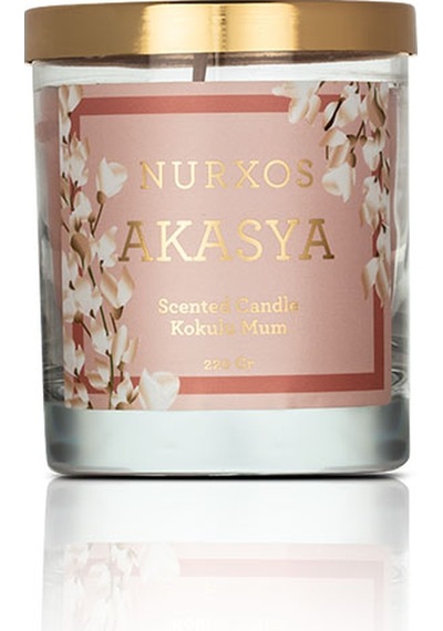 AKASYA Kokulu Mumlar 9657
