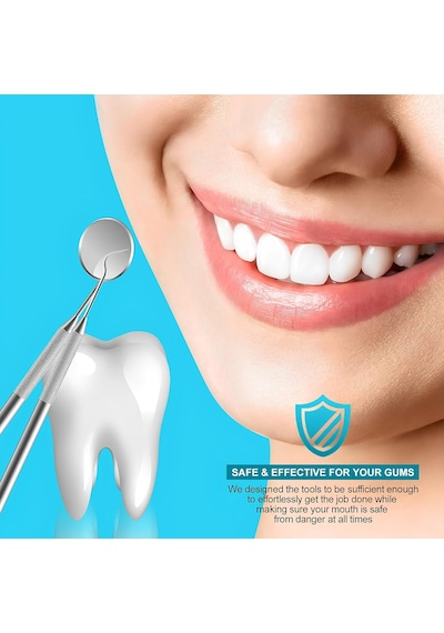 Dental Ağız Bakım Seti, 6 Adet Paslanmaz Çelik Aparat, Kutulu Diş Tartar Dil Temizleyici, Diş Arası Ve Diş Bakımı İçin Etkili Derinlemesine Temizlik Sunan Profesyonel Paslanmaz Çelik Ağız Diş Bakımı