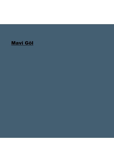 Marshall Su Bazlı Panel Kapı Boyası Mavi Göl 1l