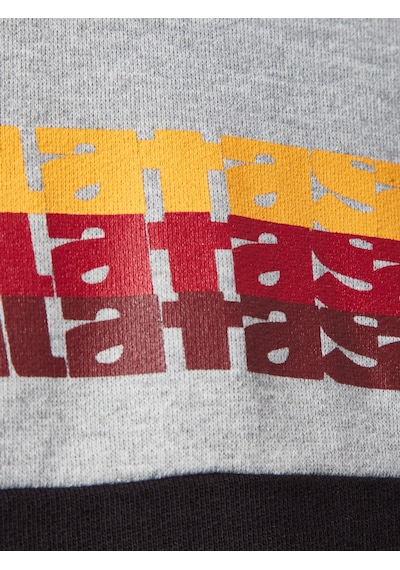 Gsstore Galatasaray Çocuk Sweatshirt C252070 Siyah - Grimelanj