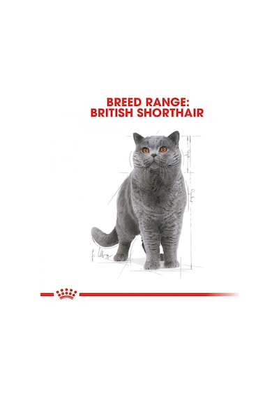 Royal Canin British Shorthair Adult Pouch Yetişkin Kedi Yaş Maması 85 G