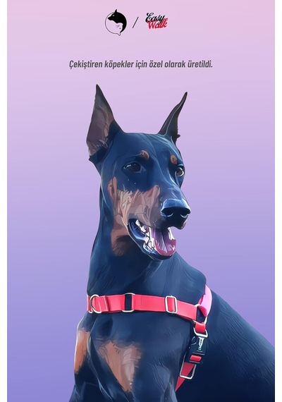 Easy Walk Önden Çekmeli Göğüs Tasması S, Orion Genel