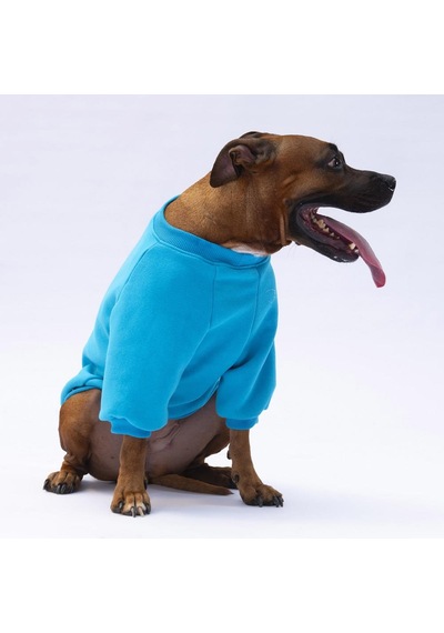 Turkuaz Carmel Büyük Irk Köpek Sweat-köpek Kıyafeti