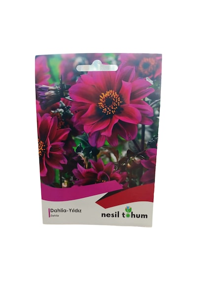 Nesil Tohum Dahlia-yıldız Çiçeği Tohumu 30 Adet